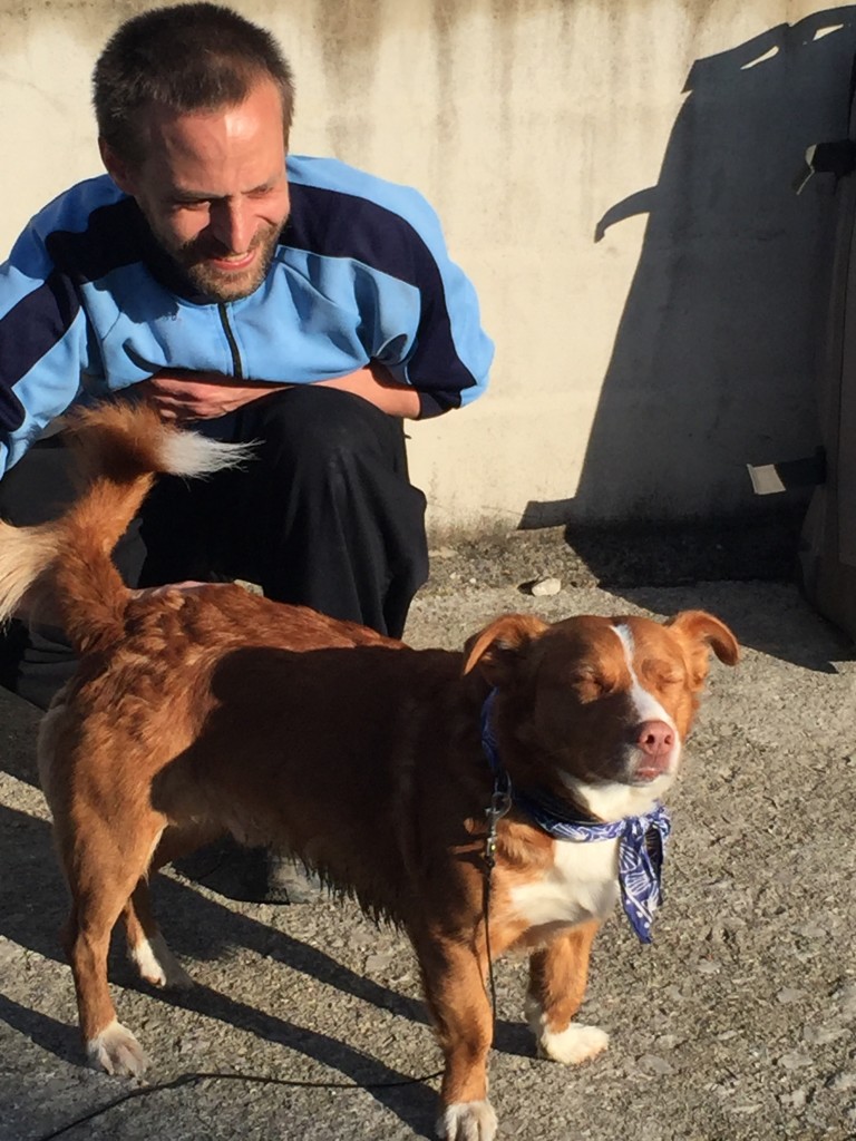 Day 4 - Akerreta to Pamplona | Camino de Santiago He is traveling the Camino with his dog