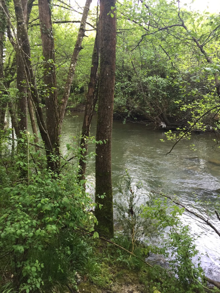 Day 4 - Akerreta to Pamplona | Camino de Santiago Arga River