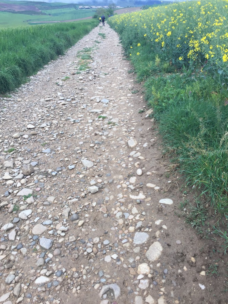 uneven paths of gravel and rock that are unstable making your feet roll from side to side all day