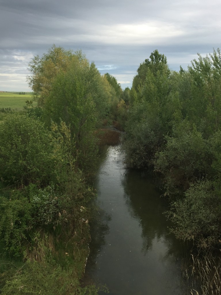 Day 18  - Fromista to Carrion De Los Condes | Camino de Santiago