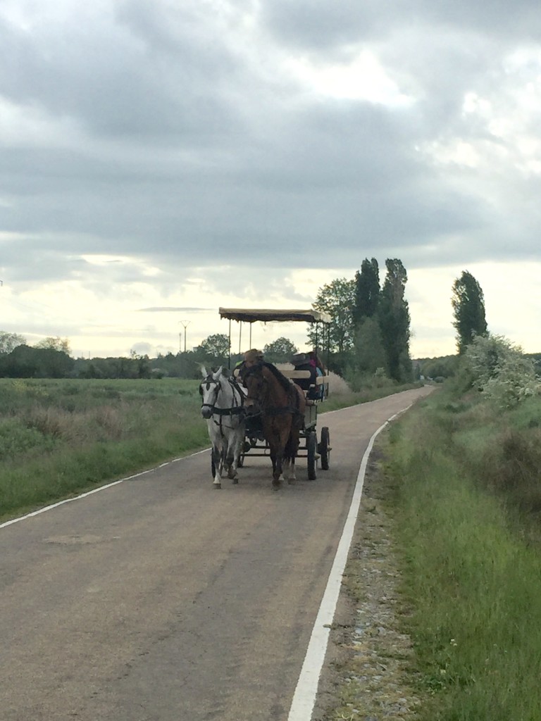 Carrion de Los Condes to Terradillos de los Templarios | Camino de Santiago