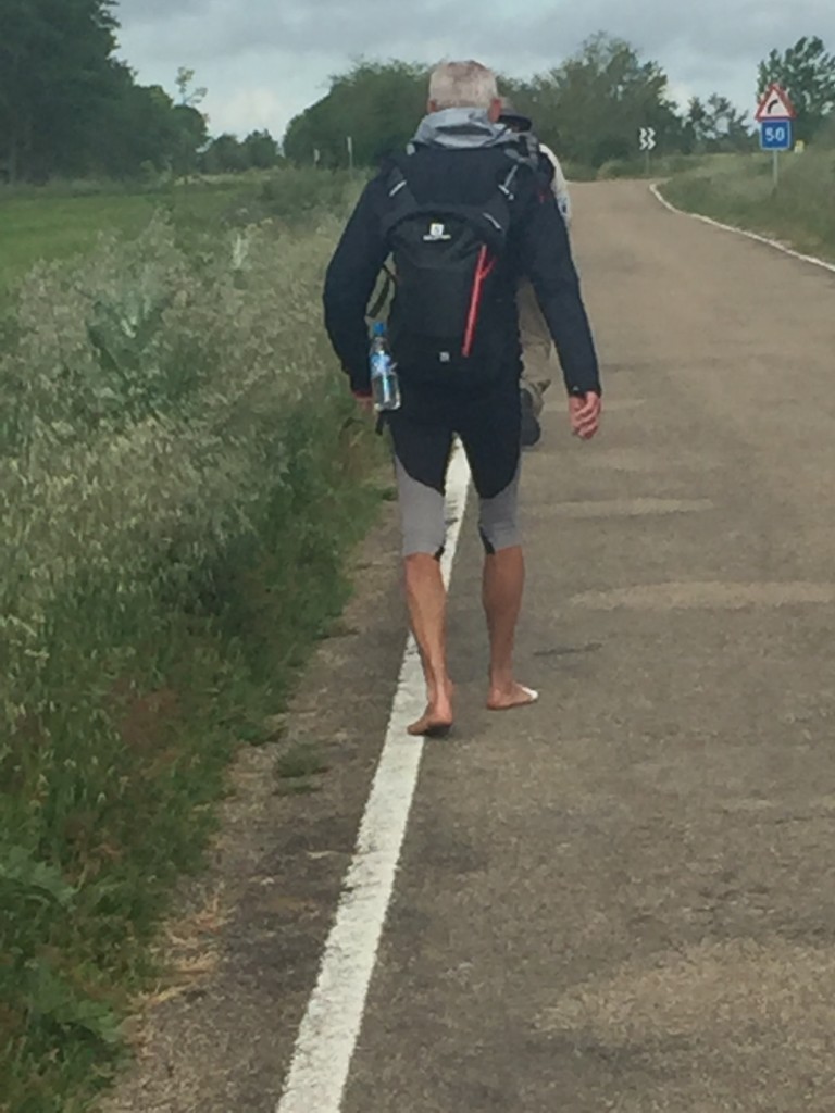 Carrion de Los Condes to Terradillos de los Templarios | Camino de Santiago