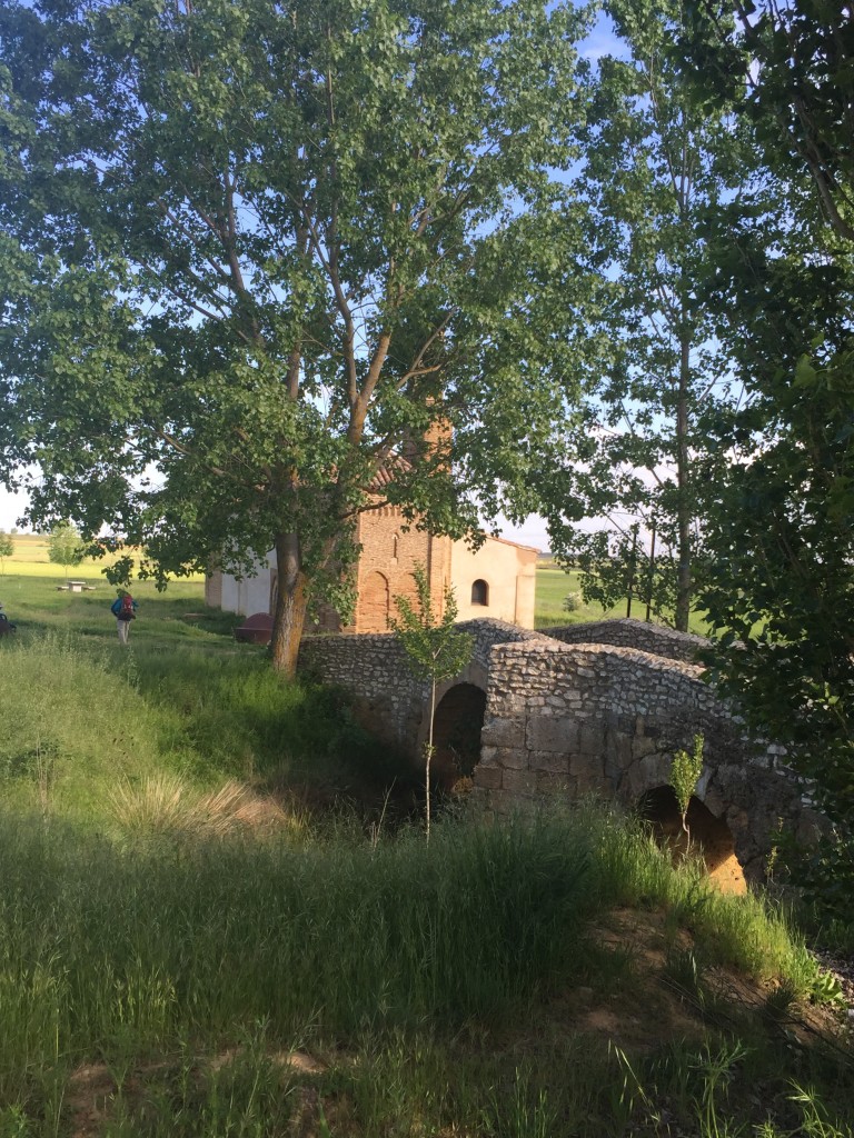 Day 20 - Terradillos de Los Templarios to Bercianos Del Real Camino | Camino de Santiago