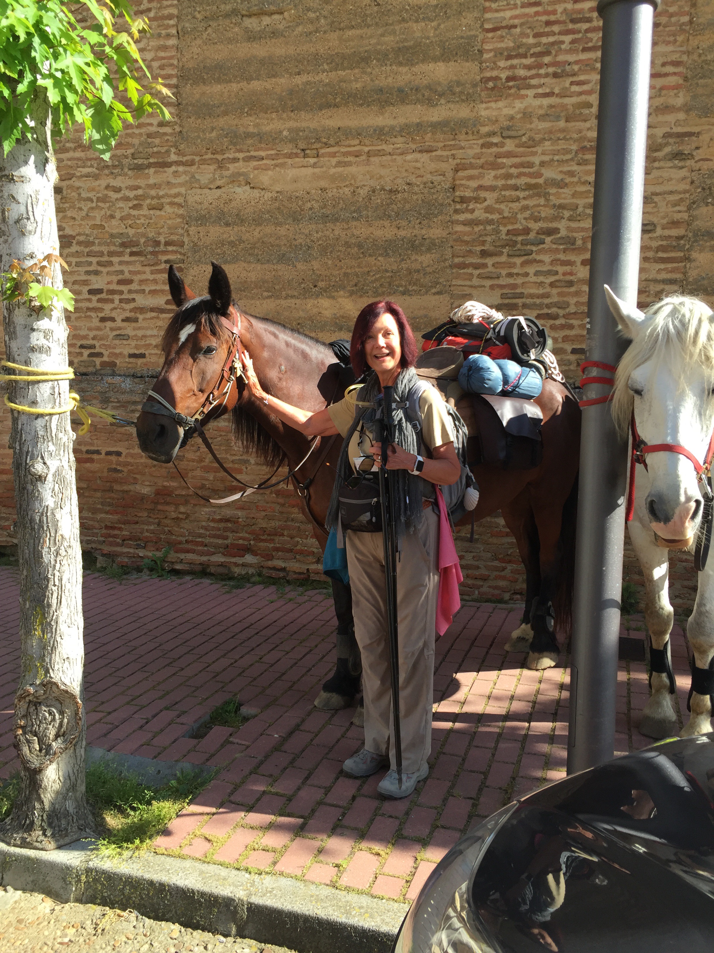 Day 20 - Terradillos de Los Templarios to Bercianos Del Real Camino | Camino de Santiago