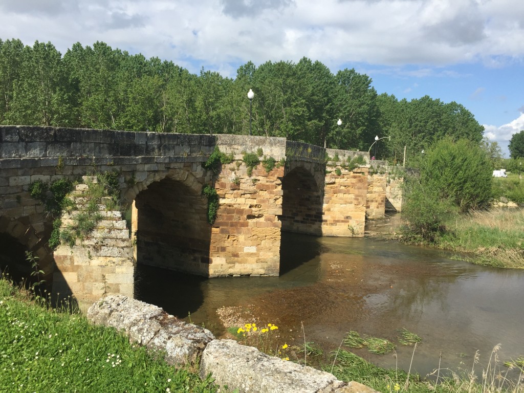 Day 20 - Terradillos de Los Templarios to Bercianos Del Real Camino | Camino de Santiago