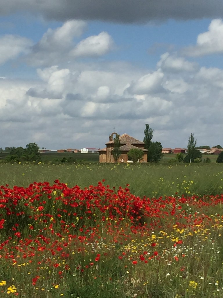 Day 20 - Terradillos de Los Templarios to Bercianos Del Real Camino | Camino de Santiago