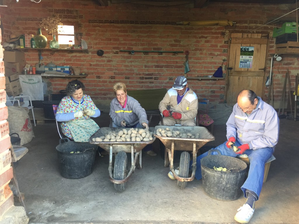 Day 25 - Hospital De Orbigo to Astorga | Camino de Santiago