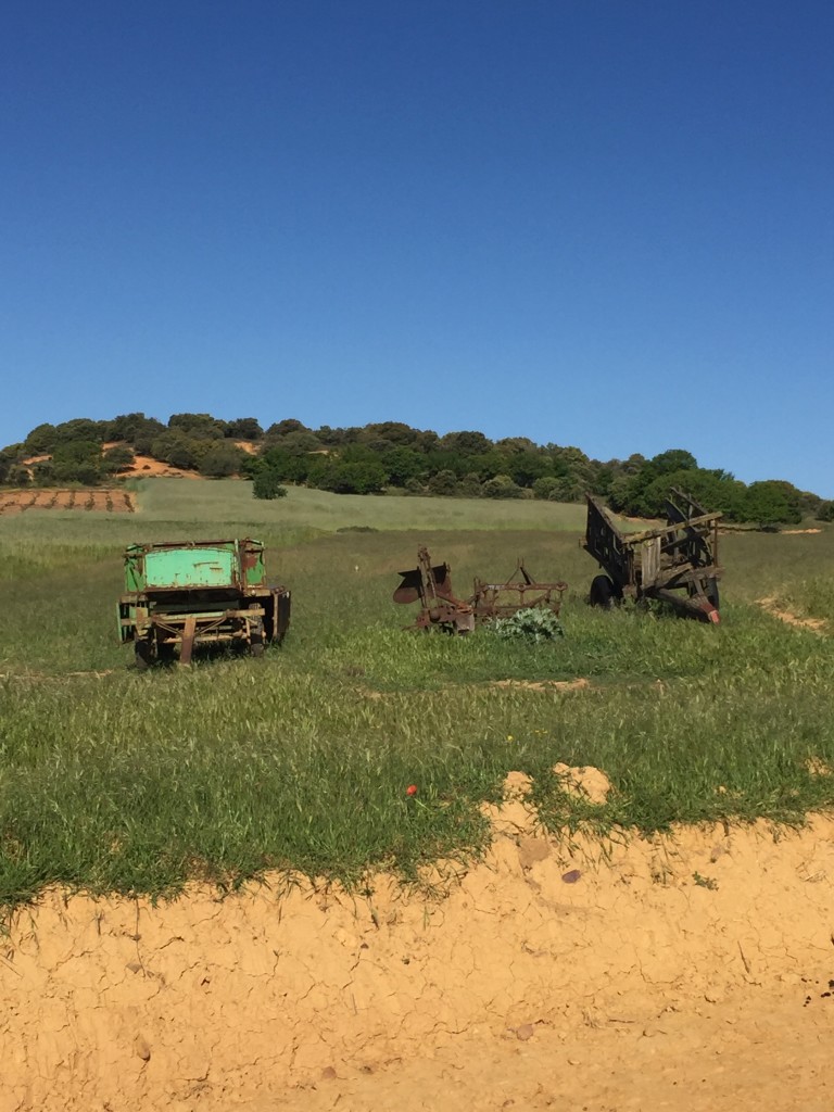 Day 25 - Hospital De Orbigo to Astorga | Camino de Santiago