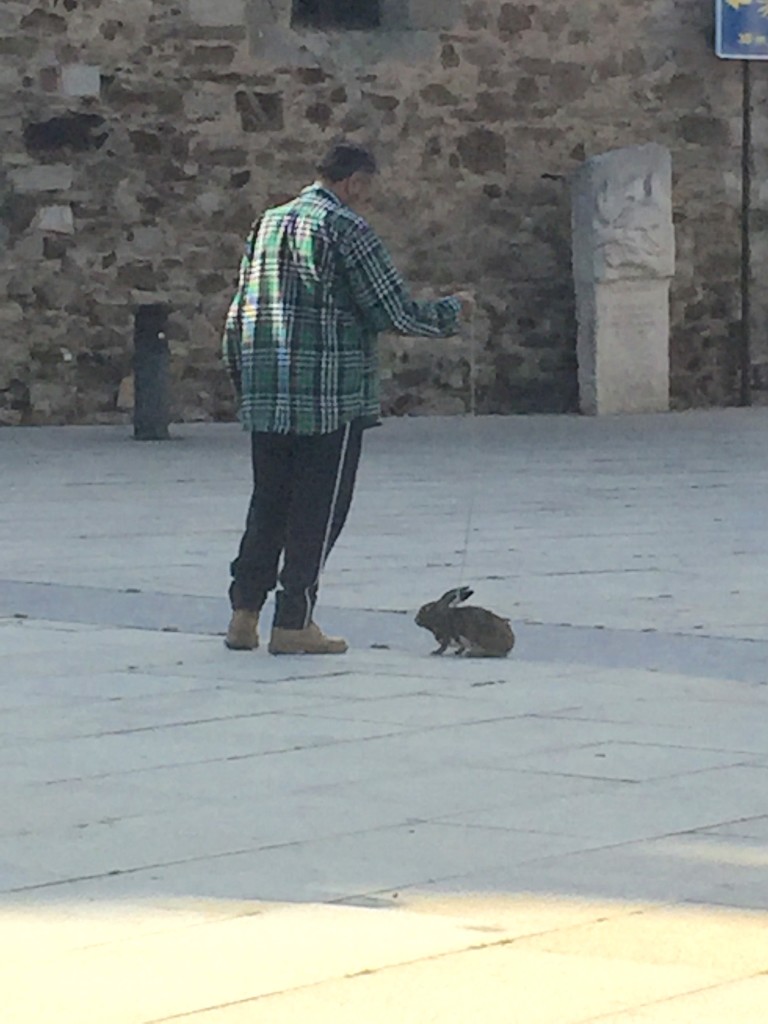 Day 27 - a  man was walking his rabbit named Lulu | Astoga to Rabanal Del Camino | Camino de Santiago