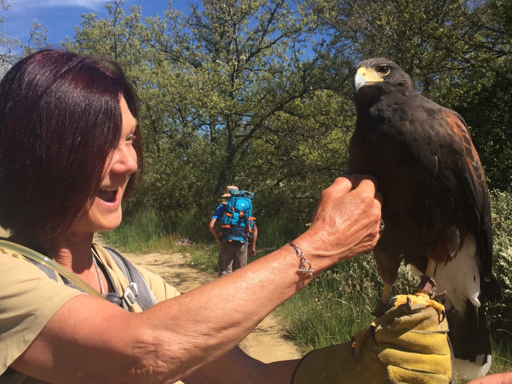 Day 27 - Astoga to Rabanal Del Camino | Camino de Santiago