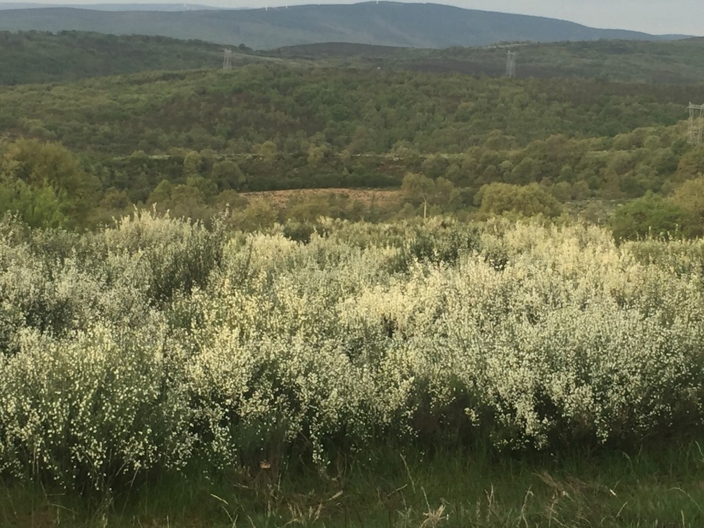 Day 28 -  Rabanal Del Camino to El Acebo | Camino de Santiago