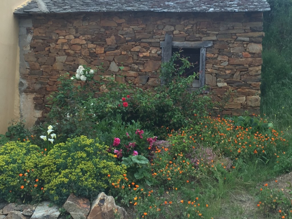 Riego de Ambrós, León, Spain | Day 29 - El Acebo to Ponferrada | Camino de Santiago