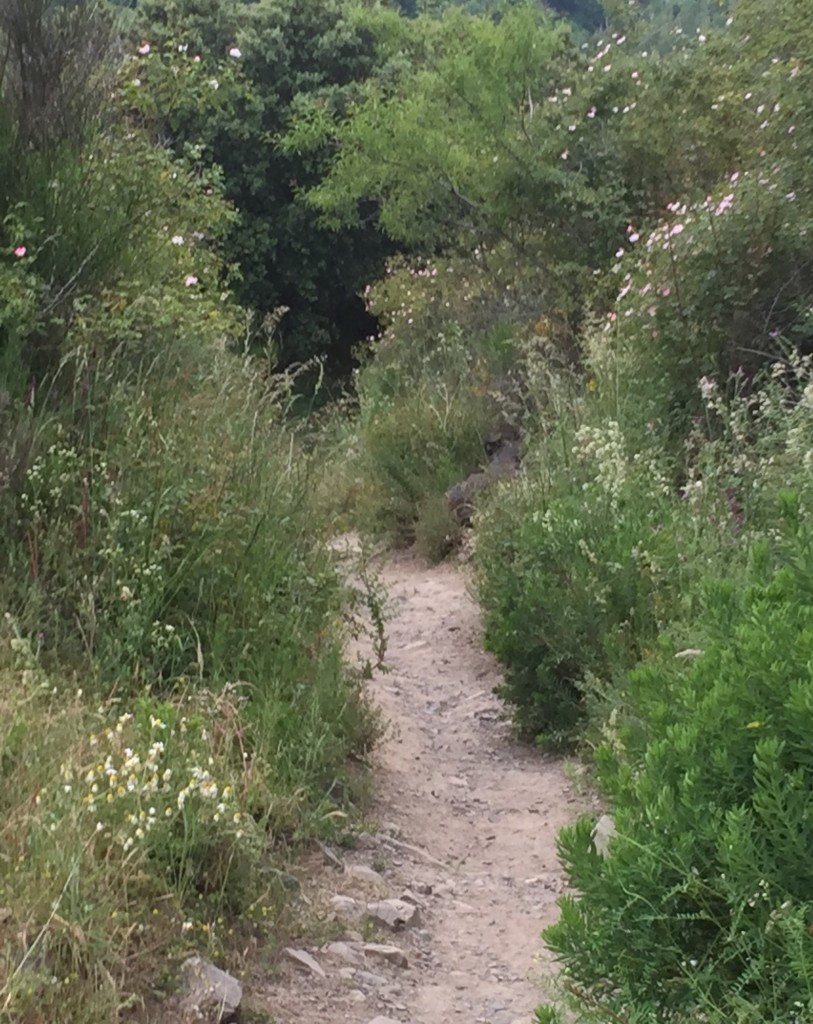 Day 29 - El Acebo to Ponferrada | Camino de Santiago