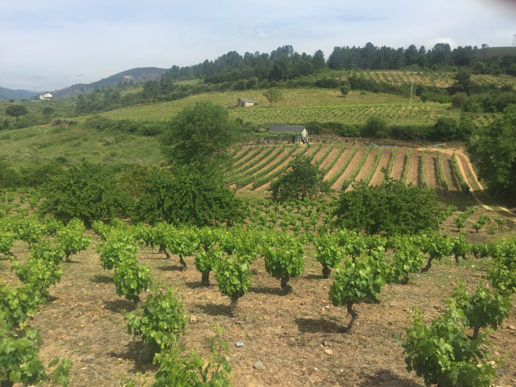 Day 30 - Ponferrada to Villafranca Del Biezo | Camino de Santiago