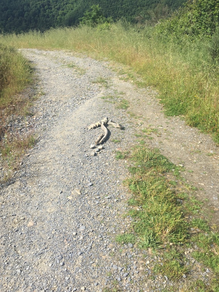 Day 31 - Villafranca to Ambasmestas | Camino de Santiago