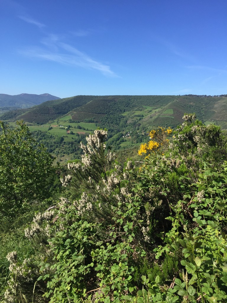 Day 32 - Ambasmestas to O Cebreiro | Camino de Santiago