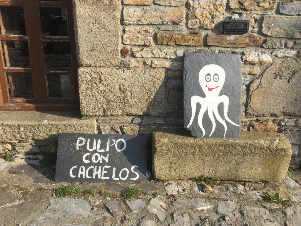 Day 33 - O Cebreiro to Tricastela | Camino de Santiago