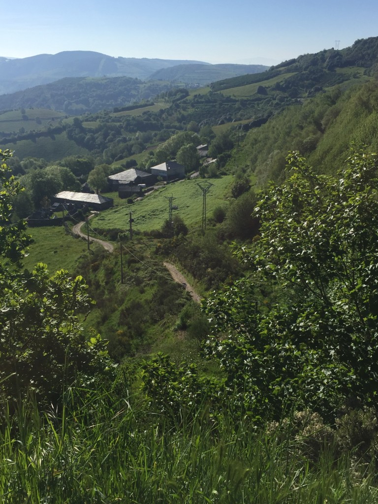 Day 33 - O Cebreiro to Tricastela | Camino de Santiago