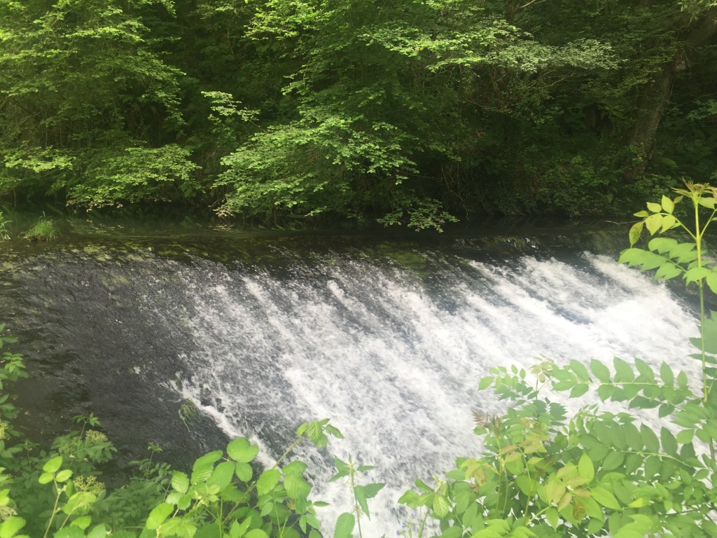 Day 34 - Triacastela to Sarria | Camino de Santiago