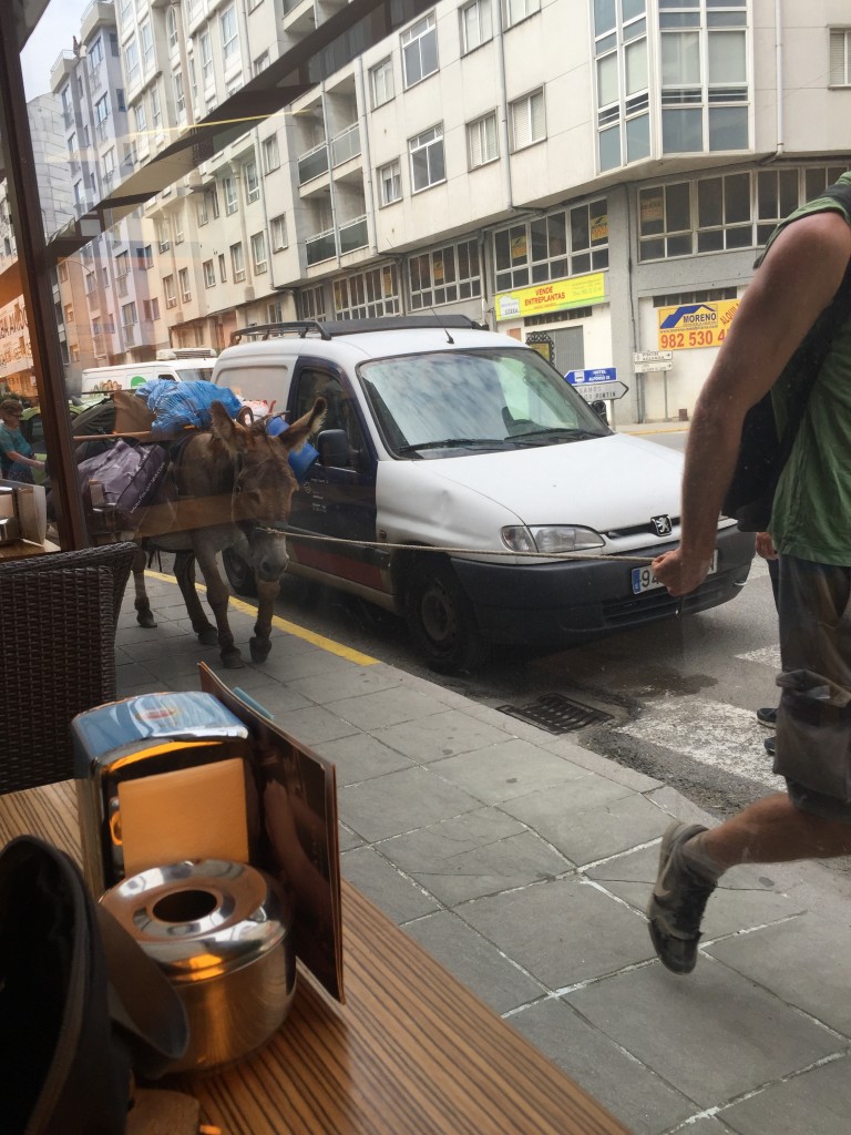 Day 34 - Triacastela to Sarria | Camino de Santiago pilgrim with his donkey