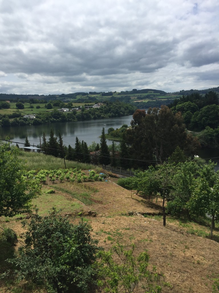 Day 35 - Sarria to Portomarin | Camino de Santiago