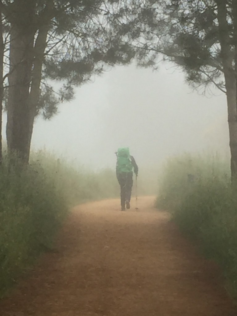 Day 36 - Portomarin to Palas De Rei | Camino de Santiago