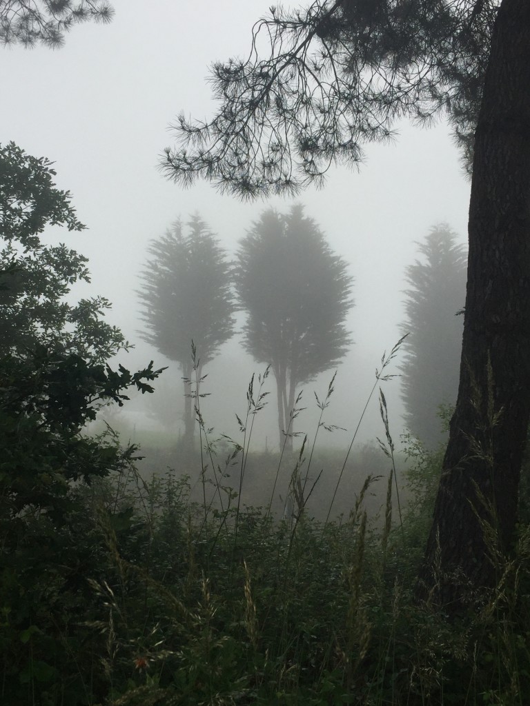 Day 36 - Portomarin to Palas De Rei | Camino de Santiago