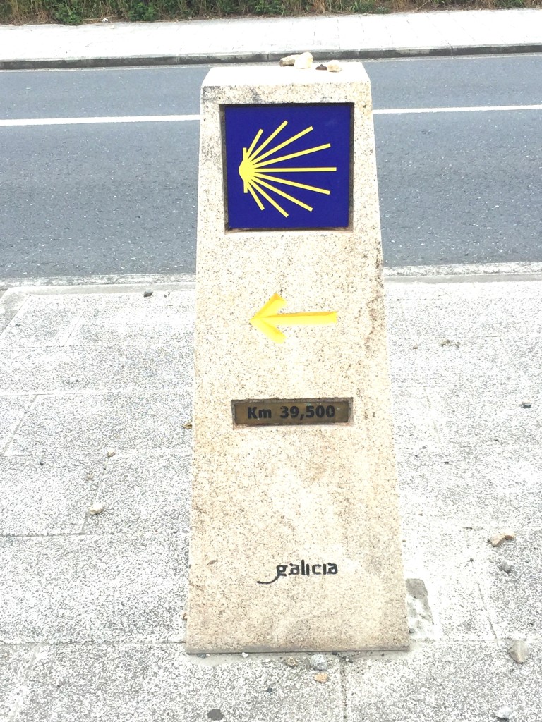 Galicia 39.500 kilometers to go. Day 37 - Palas de Rei to Arzua | Camino de Santiago