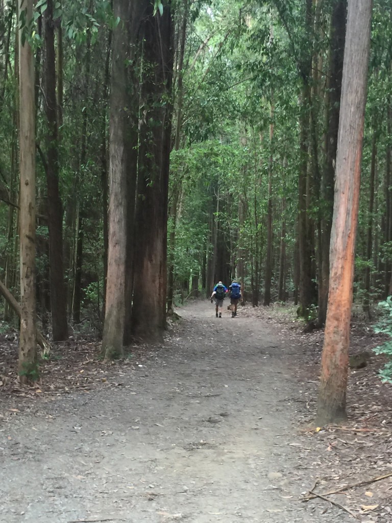 Day 38 - Arzua to Lavacolla | Camino de Santiago