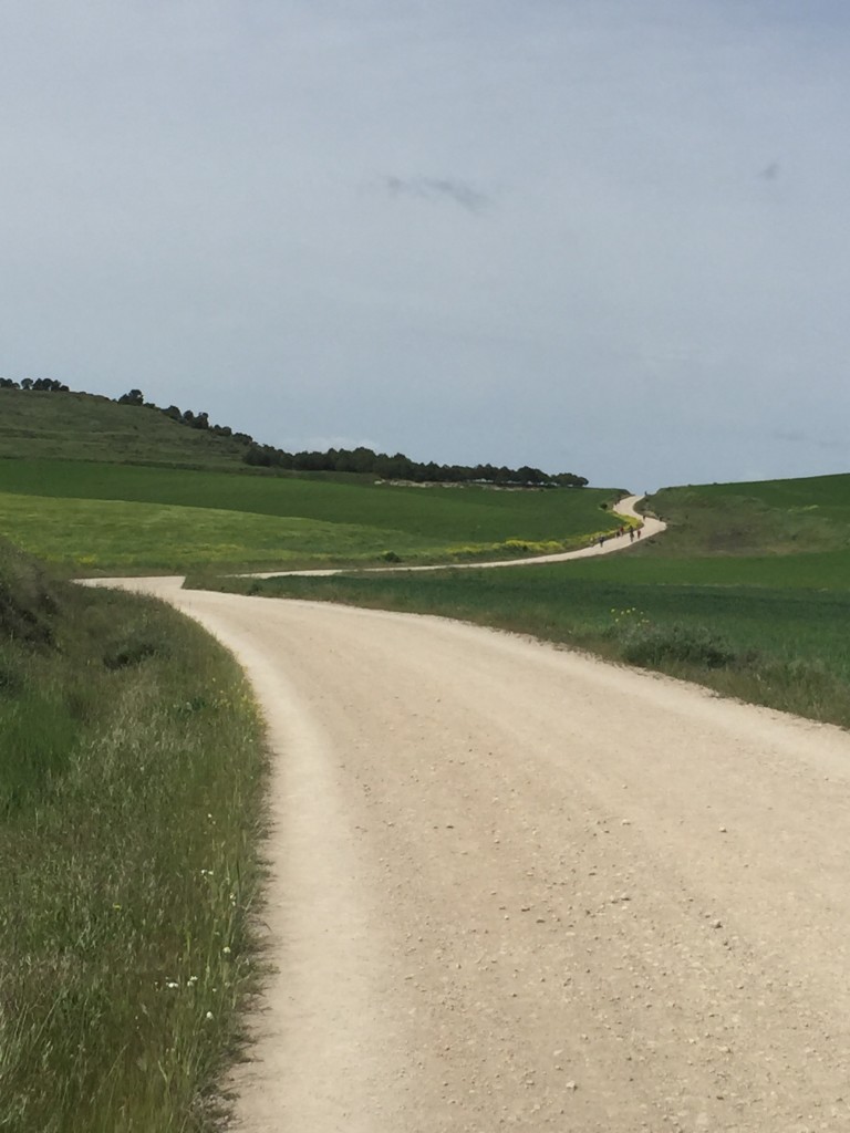 winding path on the camino