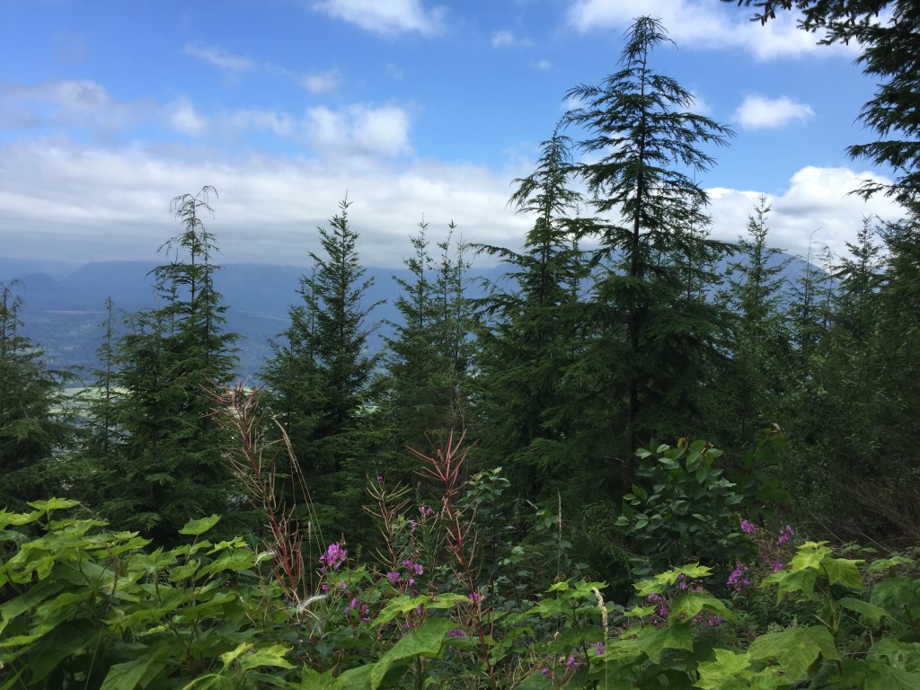 Rattlesnake Mountain - Stan's Landing, Snoqualmie, WA